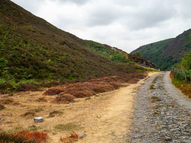 elan valley cycle route map