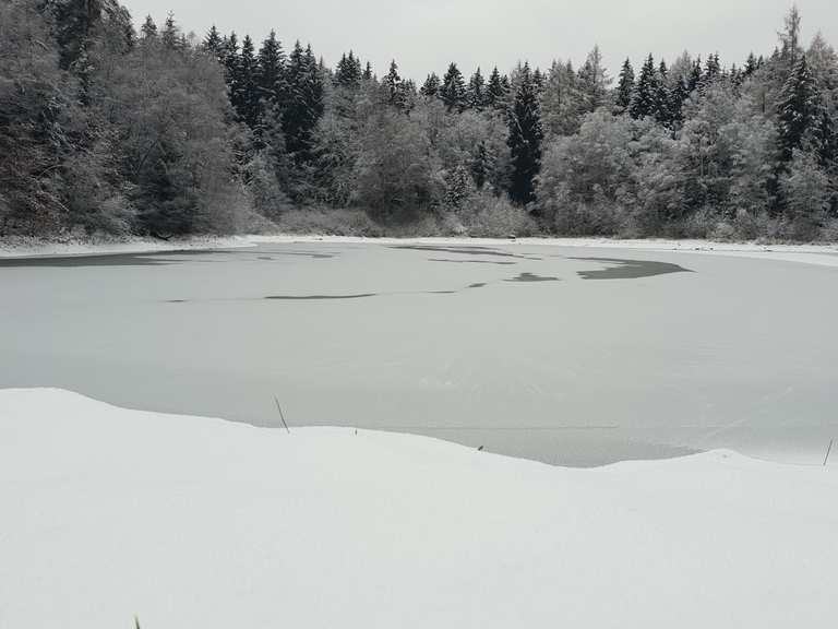 BergratMüllerTeich (HWN 190) Wanderungen und Rundwege komoot