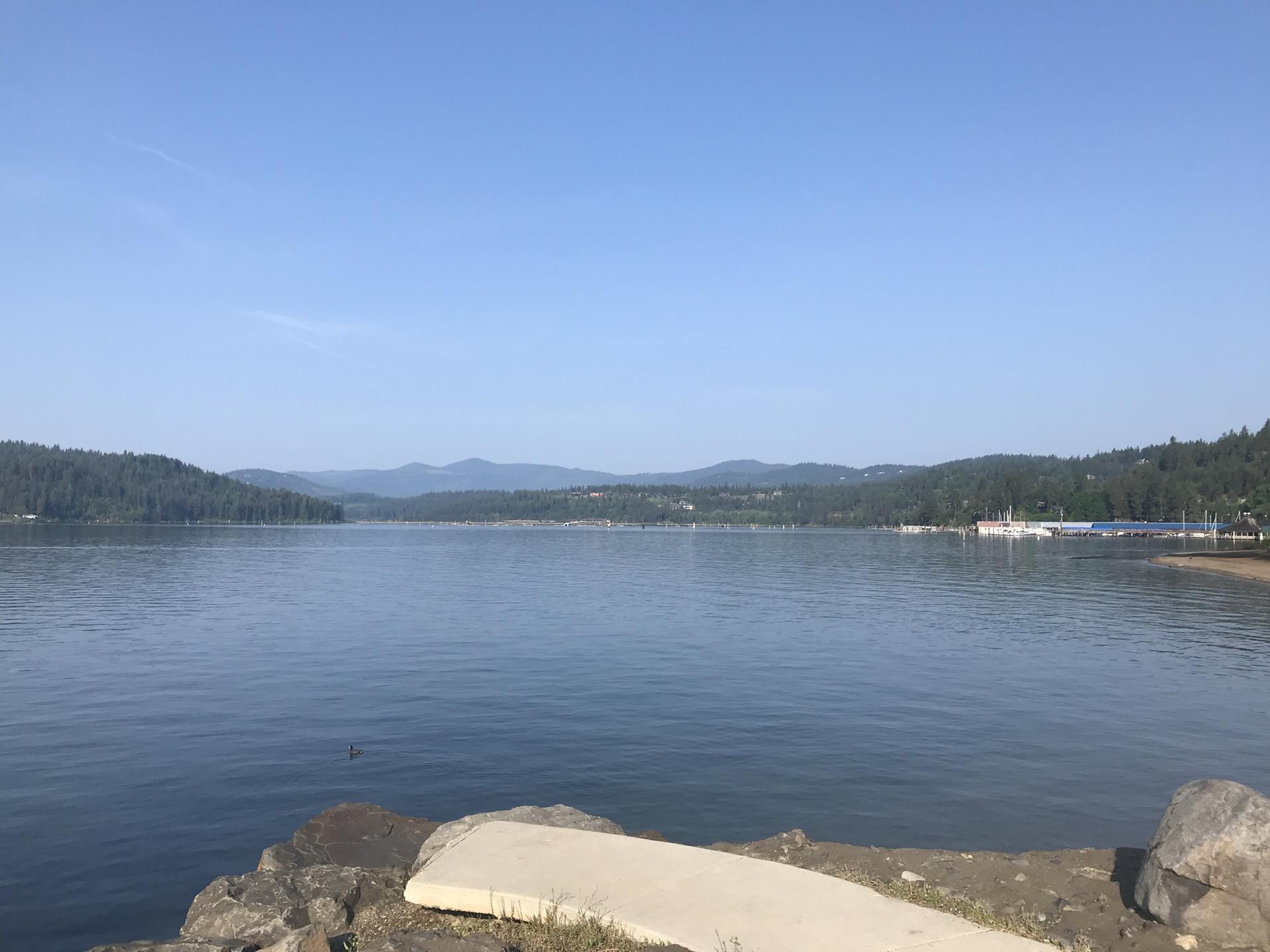 Calm blue lake surrounded by green forested hills under a clear sky.