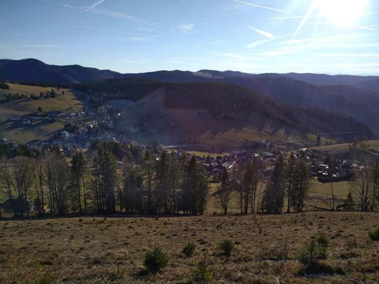 Todtnauberg Wanderungen und Rundwege komoot