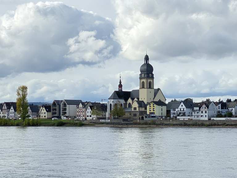 Urbar Gretchens Garten Rhineland Palatinate Germany Cycling