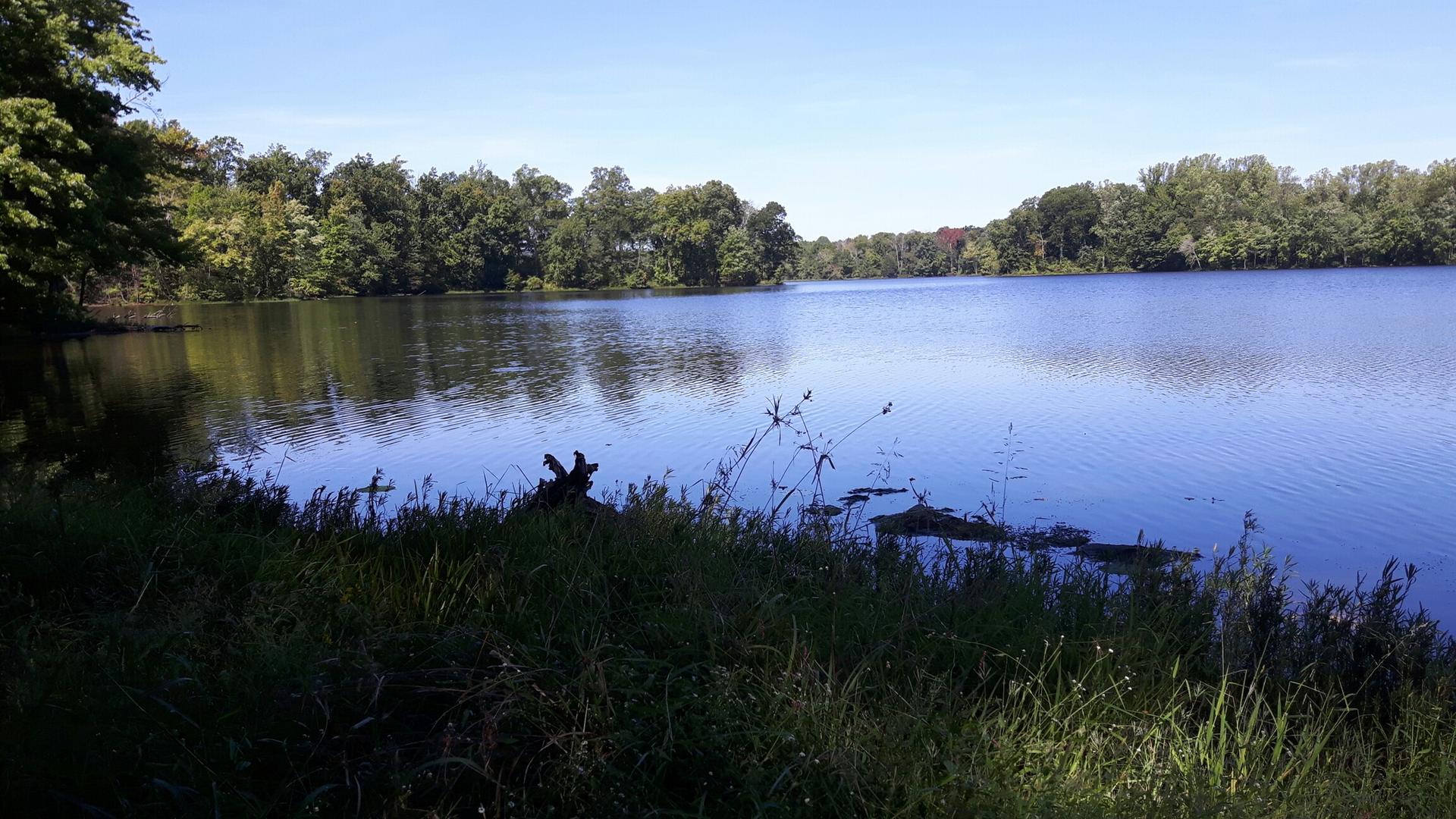 Dark blue lake with dense green trees under a bright sky.
