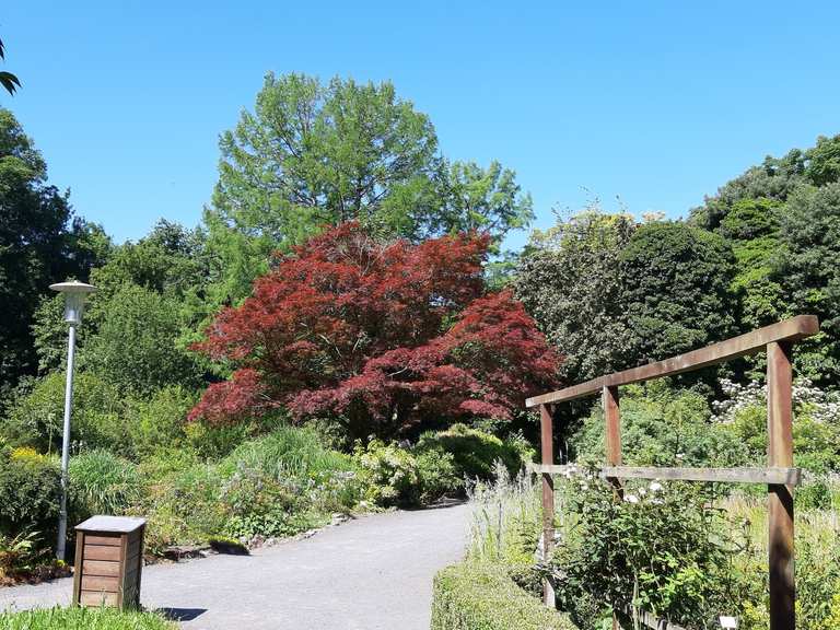 48+ Botanischer Garten Göttingen Café Öffnungszeiten, Café