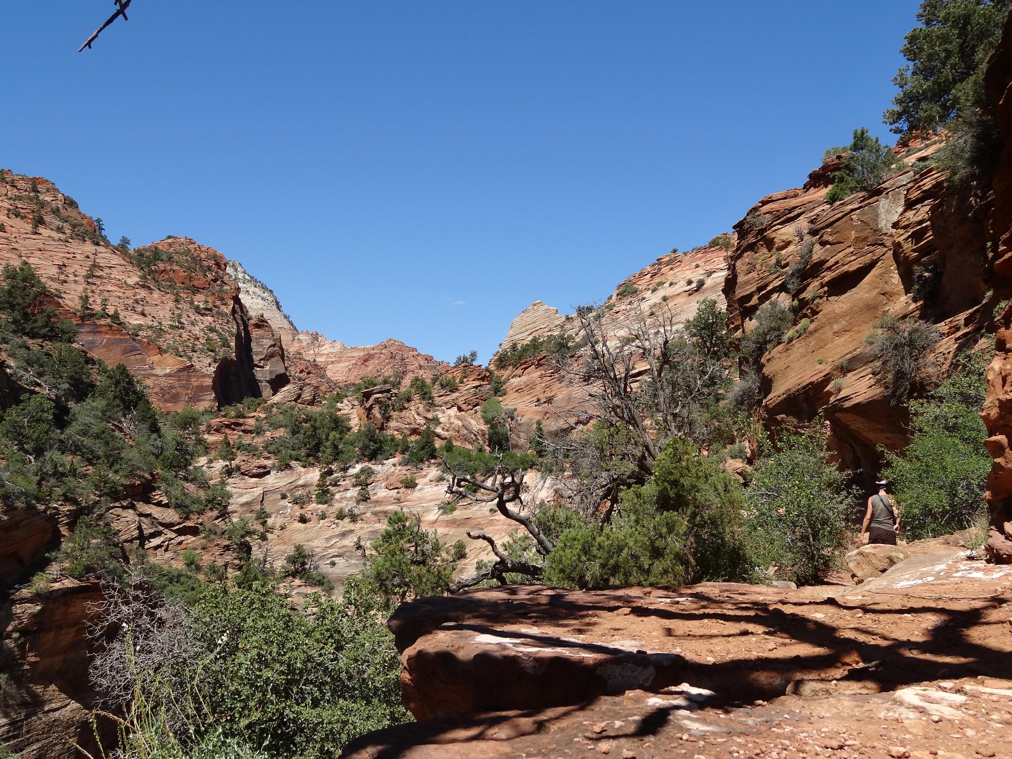 Hiker resting on a rocky ledge in a sunny canyon with green bushes.