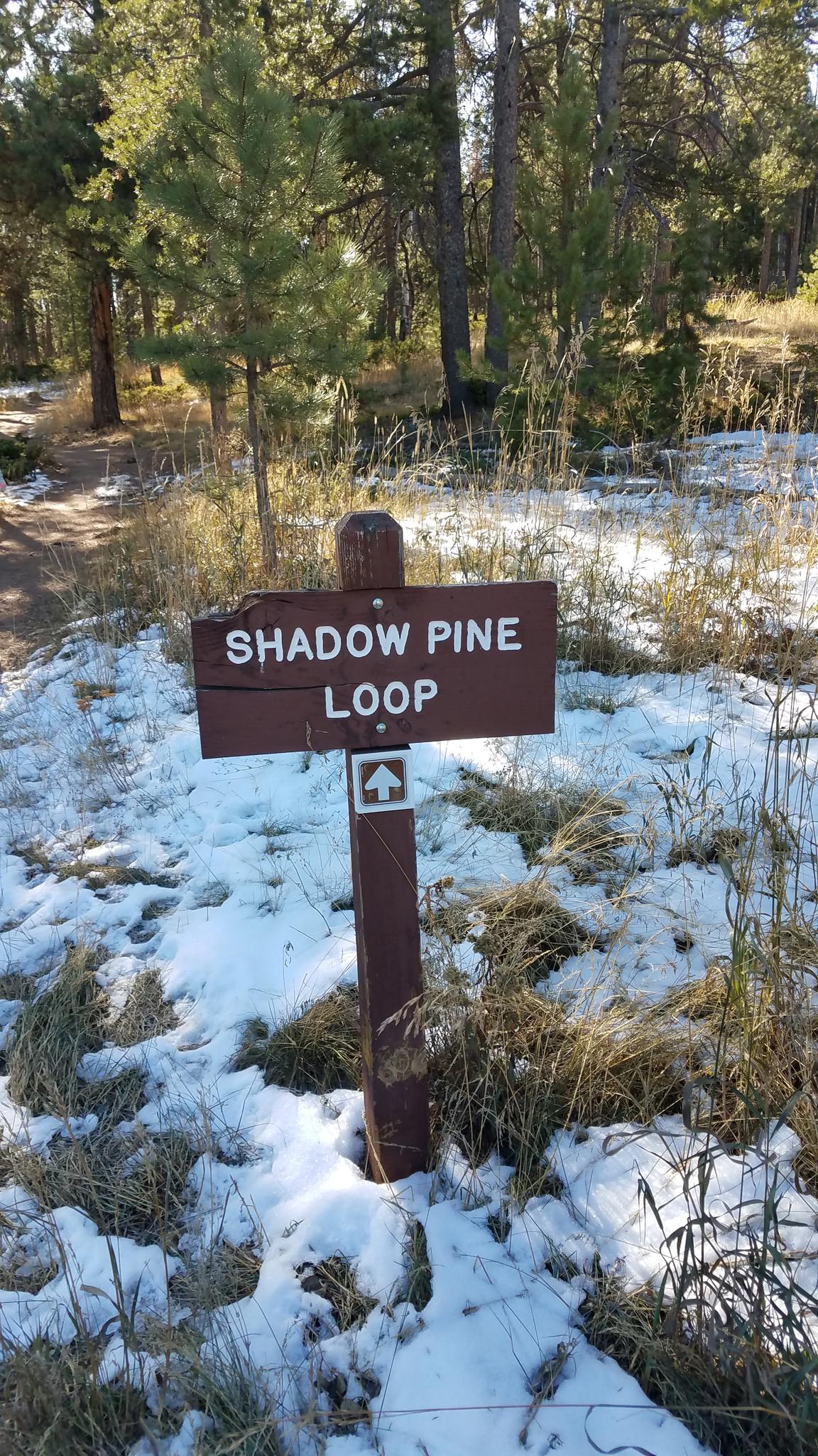 A wooden trail sign in a snowy, grassy forest.
