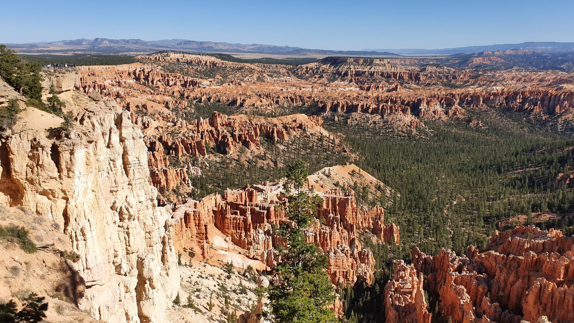 Vast landscape of red rock formations and green forest under a clear sky.