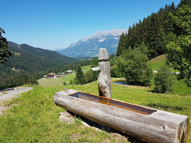 Seerosenteich Ellmau Going Bergdoktor Haus Loop From Going Am