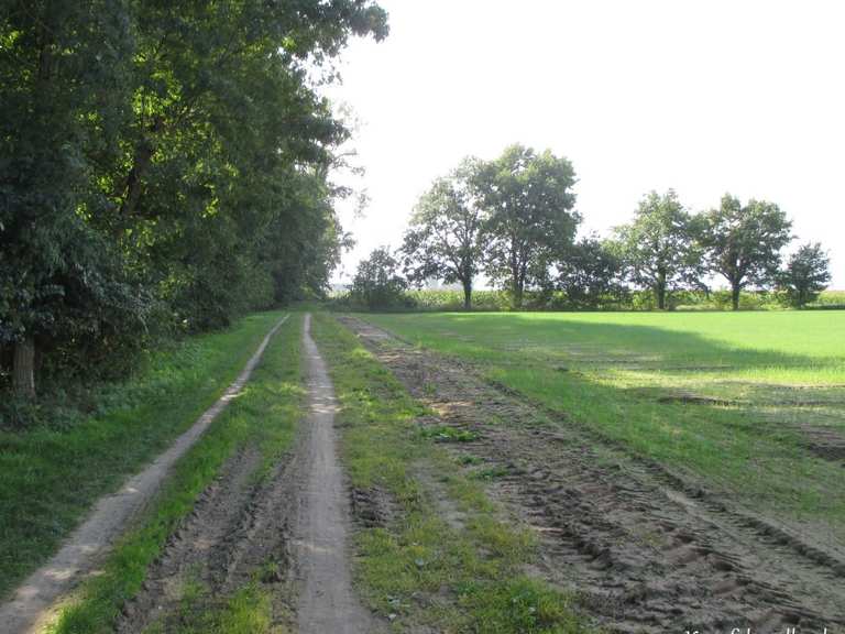 Kraut- und Rübenweg Abschnitt - fietsroutes en kaart | Komoot