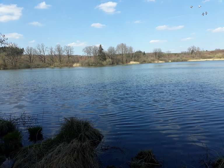 NiederMooser See Freiensteinau, Vogelsbergkreis Wandertipps