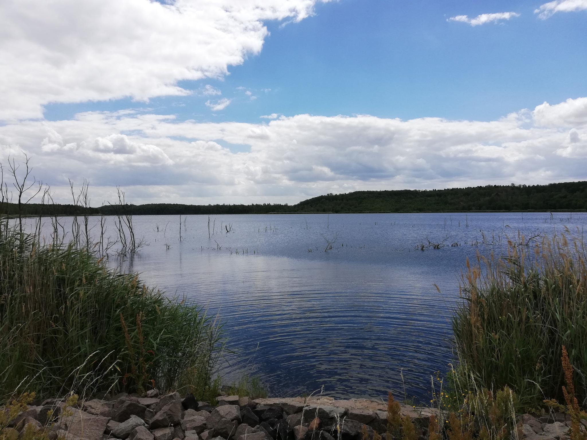 0?width=320&height=180&crop=true&q=70 Radverleih D&uuml;bener Heide &ndash; Neuh&auml;useer See, Petersroda