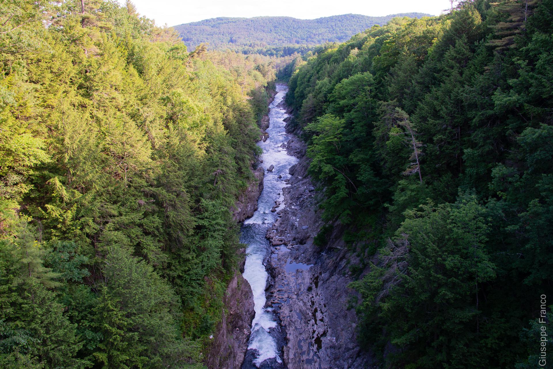 River flows through a deep, forested gorge under dappled sunlight.