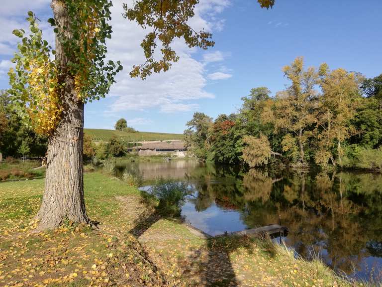 Lauffen am Neckar – Neckar in Lauffen Runde von Weiler an der Zaber ...
