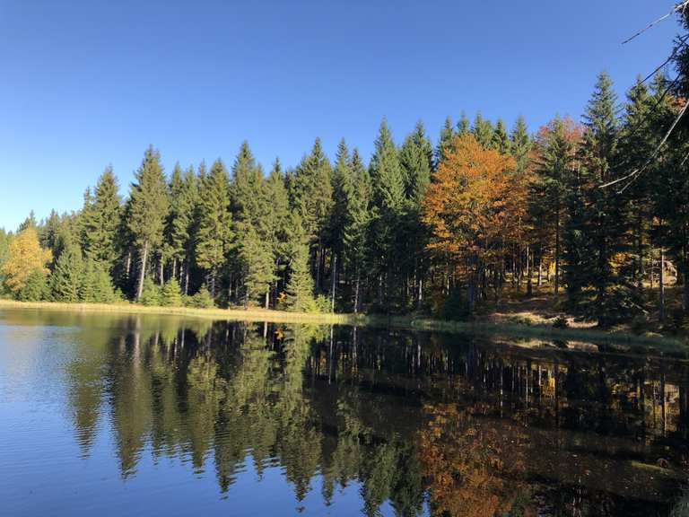 Ullersdorfer Teich Wanderungen und Rundwege komoot