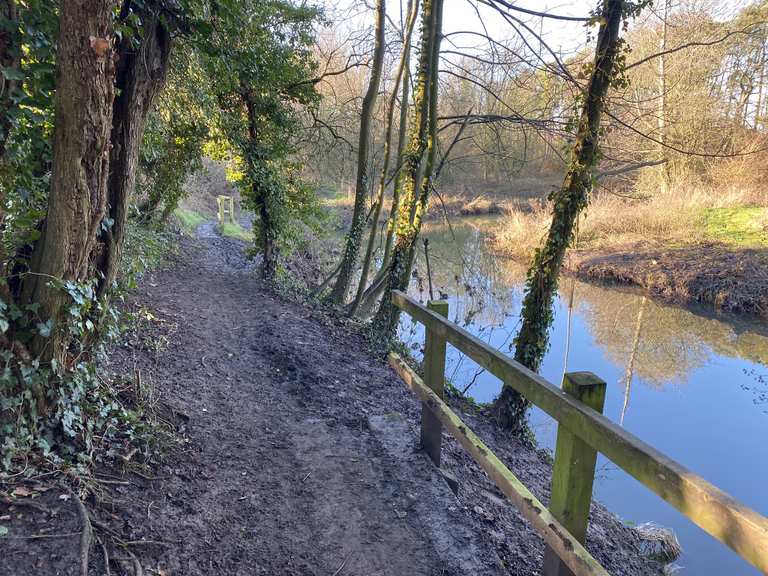 Bocking Blackwater Nature Reserve Routes and Map Komoot