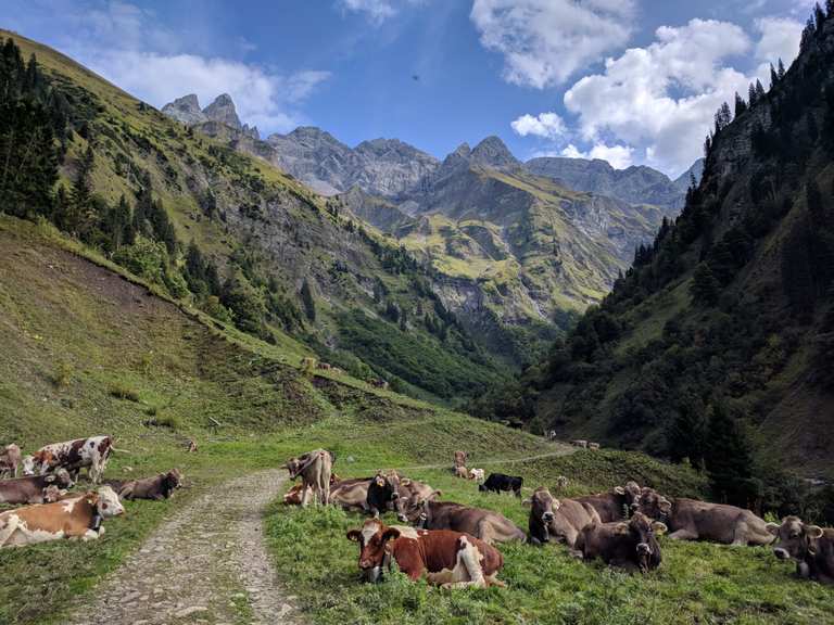 Aufstieg Zum Waltenberger Haus Wandern Rund Um Oberstdorf