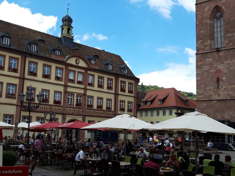 Neustadt an der Weinstraße/Marktplatz : Radtouren und Radwege | komoot