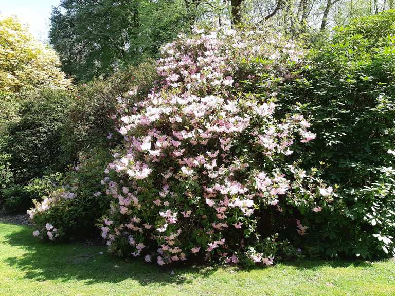 Forstbotanischer Garten Pfauenwiese Runde von