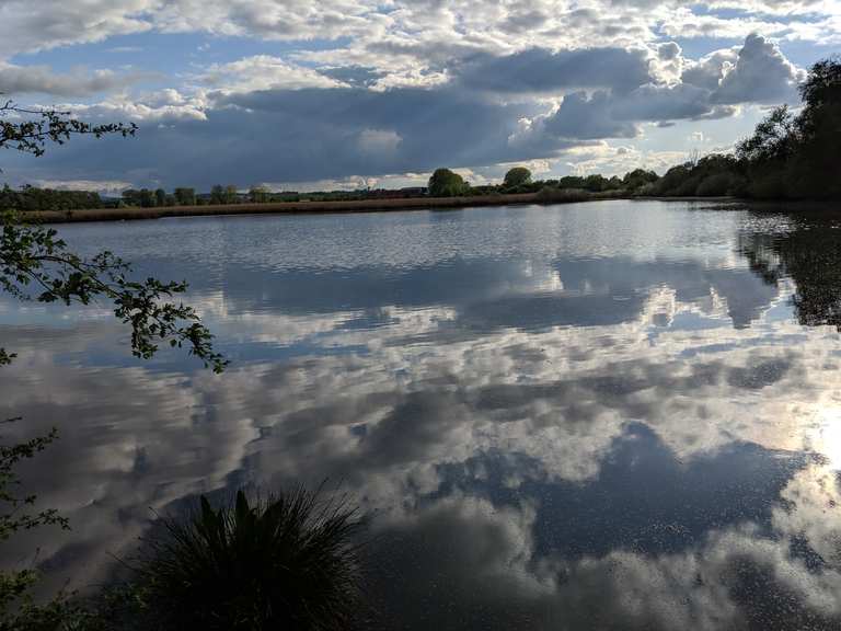 Reinheimer Teich Reinheim, DarmstadtDieburg Wandertipps & Fotos