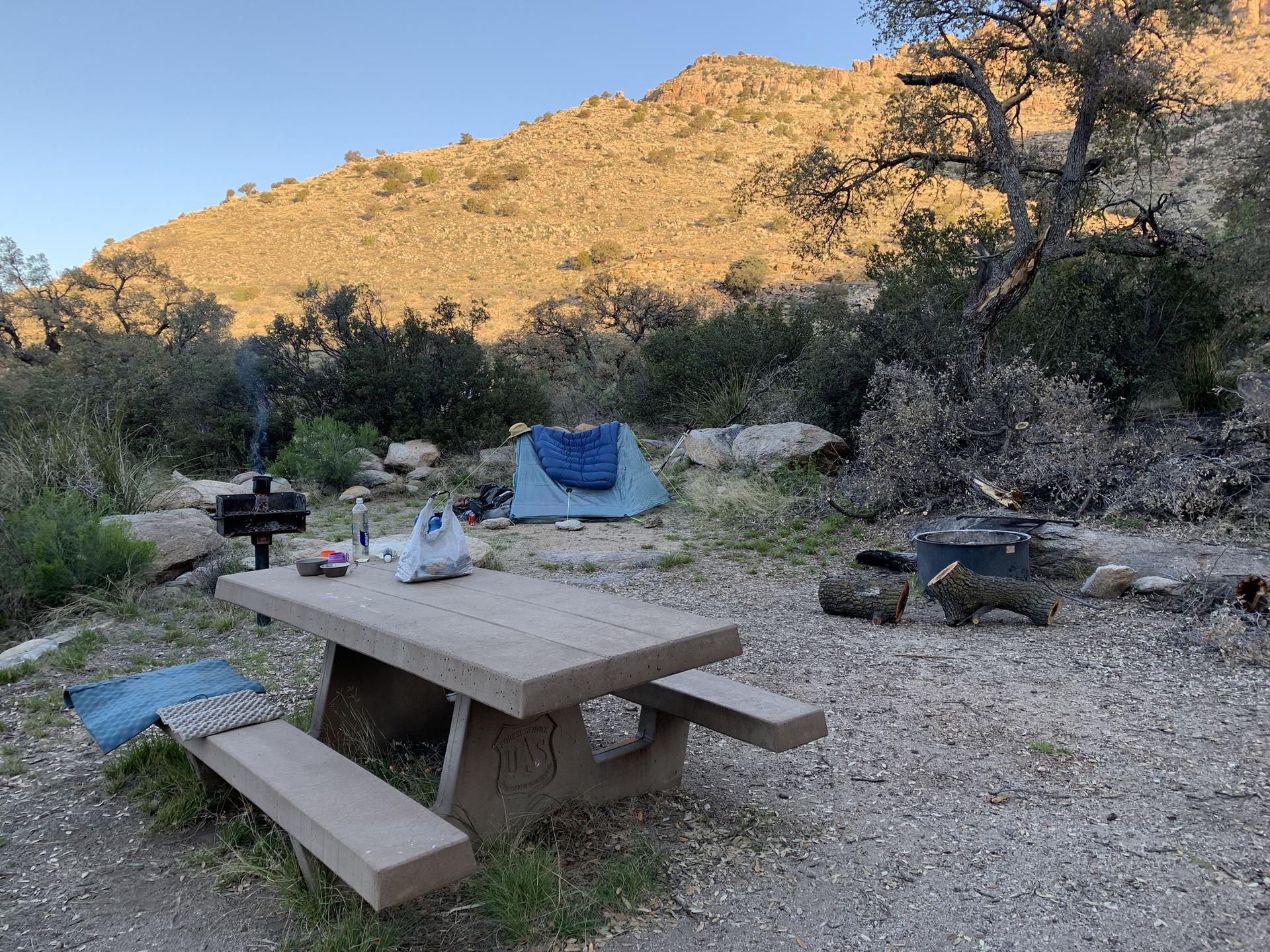 Campsite with a picnic table, tent, and grill at golden hour.