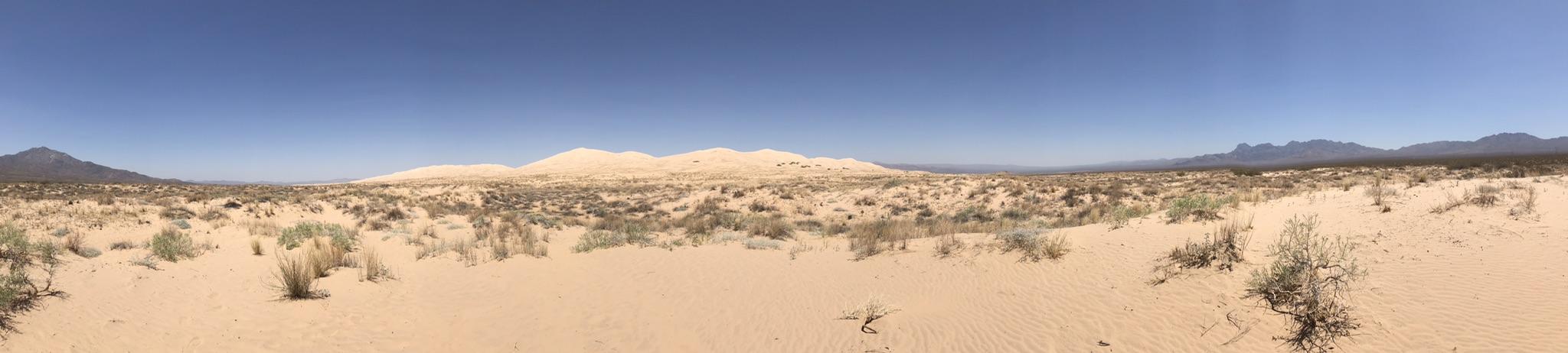 Panoramic view of a vast desert with sand dunes, sparse shrubs, and distant mountains.