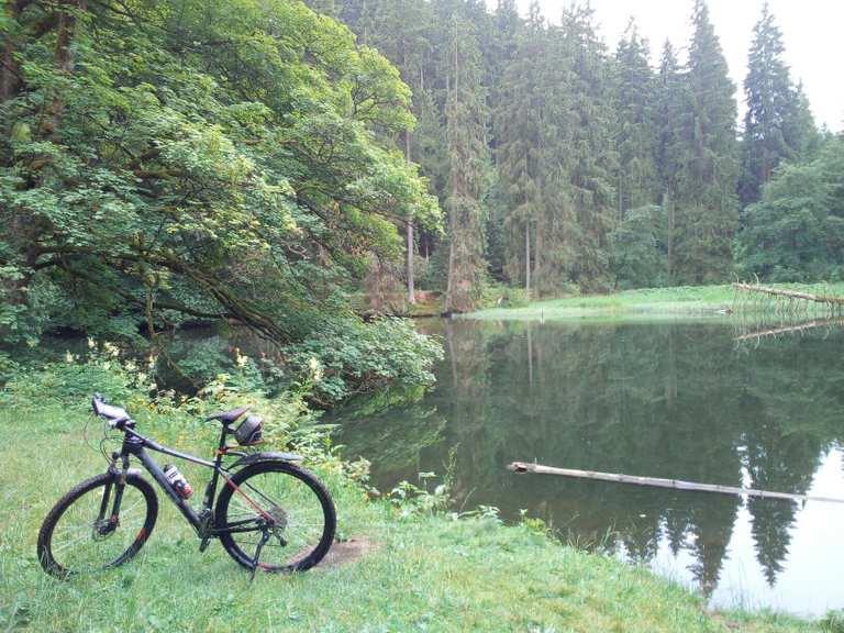 Knöpfelstaler Teich percorsi escursionistici e trekking Komoot