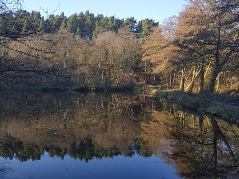 Cannock Chase Visitor Centre Stoneybrook Pool loop from Slitting Mill