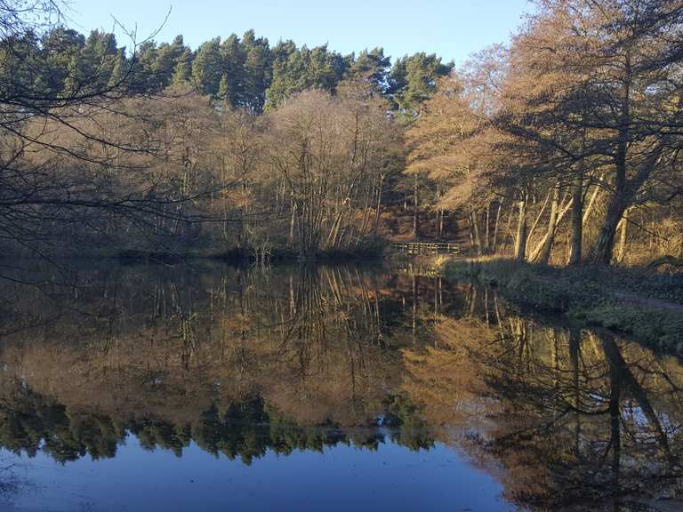 Cannock Chase Visitor Centre – Stoneybrook Pool loop from Slitting Mill ...