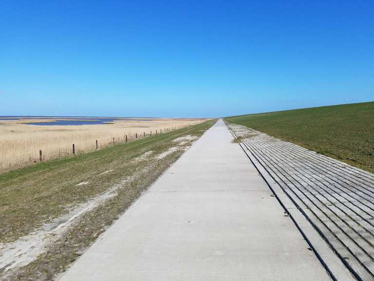 Radeln auf dem Deich Deichweg Runde von Hooksiel