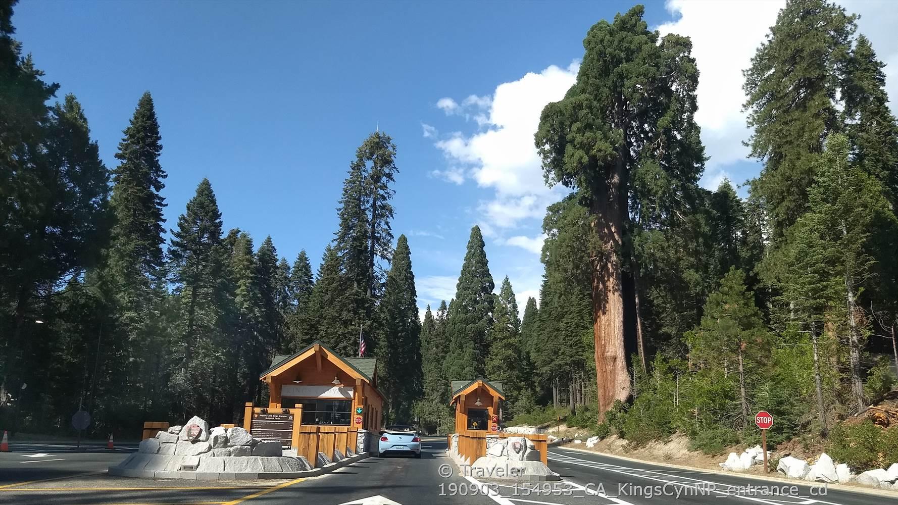 Wooden gatehouses on a road leading into a forest of towering trees under bright sky.