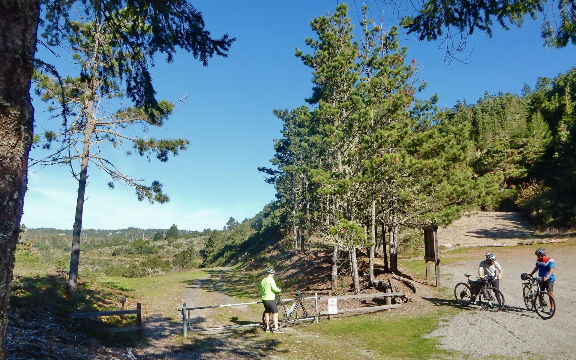 Three cyclists stand with bikes on a sunny dirt path near trees.