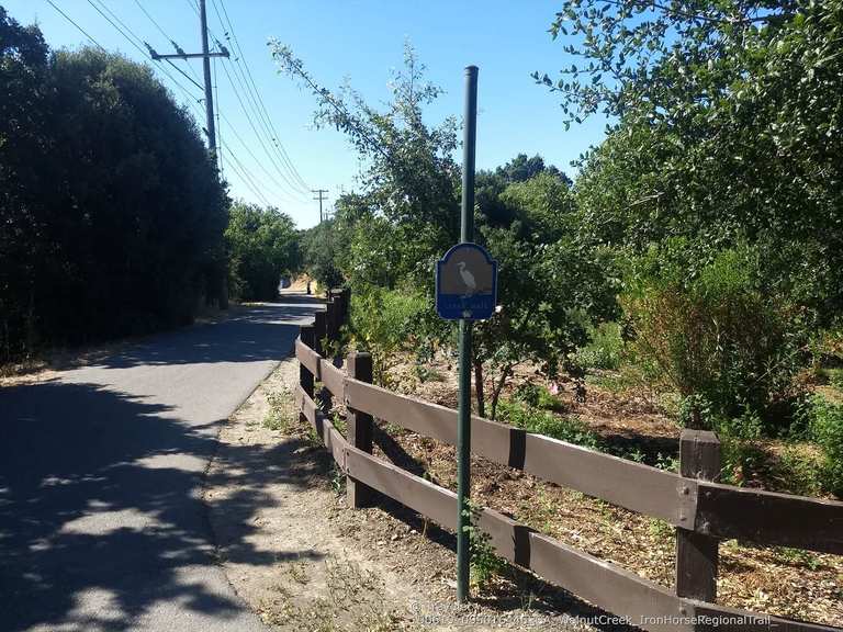 Iron Horse Trail Bridge across Walnut Creek Road Cycle Routes and Map