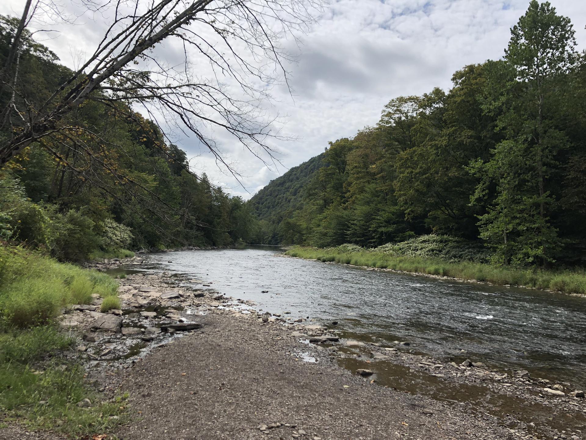 River with rocky banks, surrounded by forested hills under a cloudy sky.