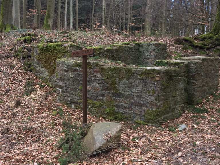 Römerkastell Holzhausen a.d.Haide MountainbikeTouren und Trails komoot