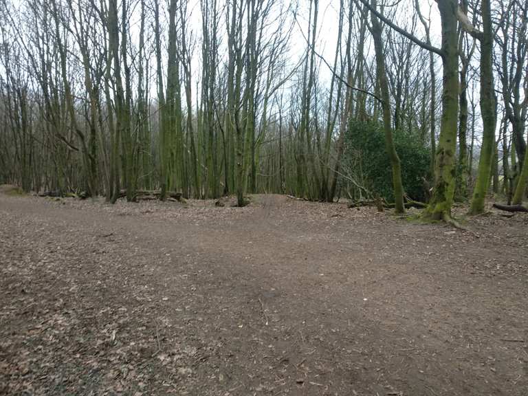 stanmer park mountain bike trails