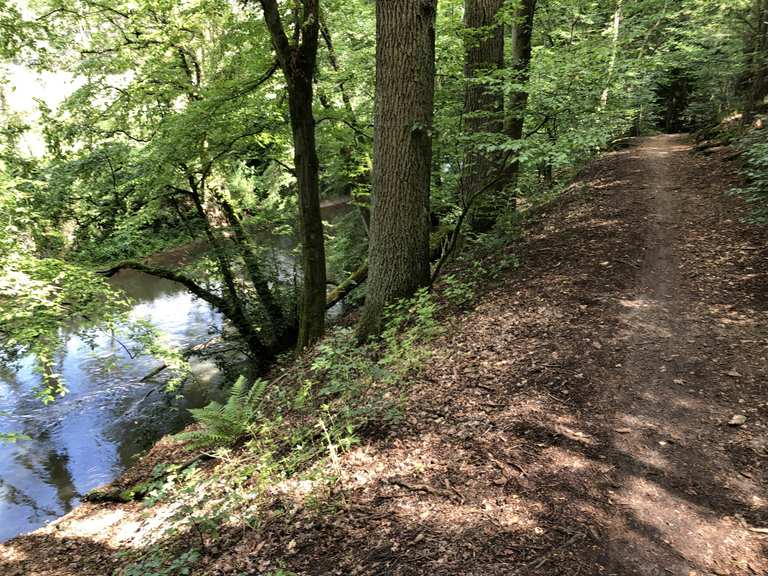 Trail Fränkischer Dünenweg Röthenbach Wetzendorf MountainbikeTouren