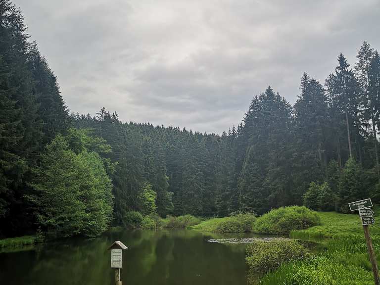 Dreisbachteich Mountain Bike Trails & Tracks Komoot