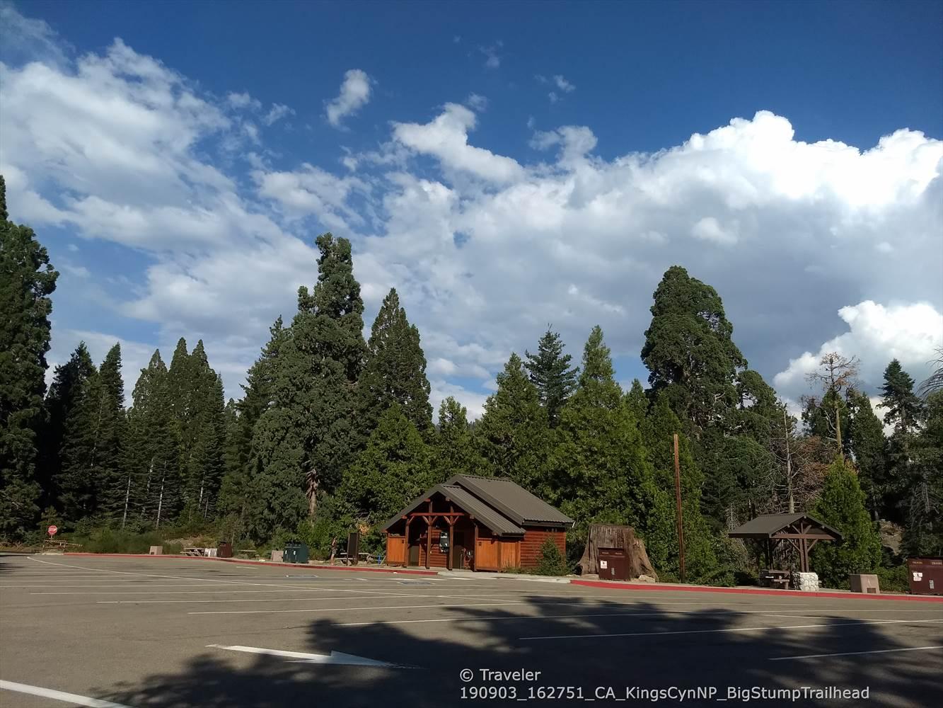 Wooden building and parking lot surrounded by tall evergreen trees.