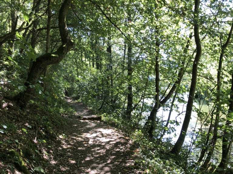 Éislek Pad Bavigne | Wanderung | Komoot