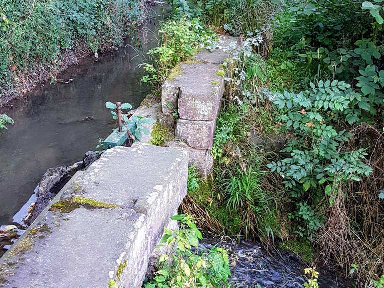 Mühlgrabenweg zum Vatteröder Teich Wanderungen und Rundwege komoot