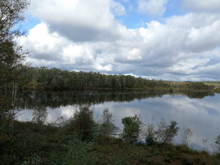 Aussichtsturm im Hasenmoor Wanderungen und Rundwege komoot