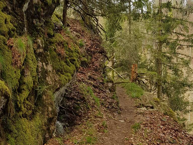 Ausblick über das Wehratal Wanderungen und Rundwege komoot