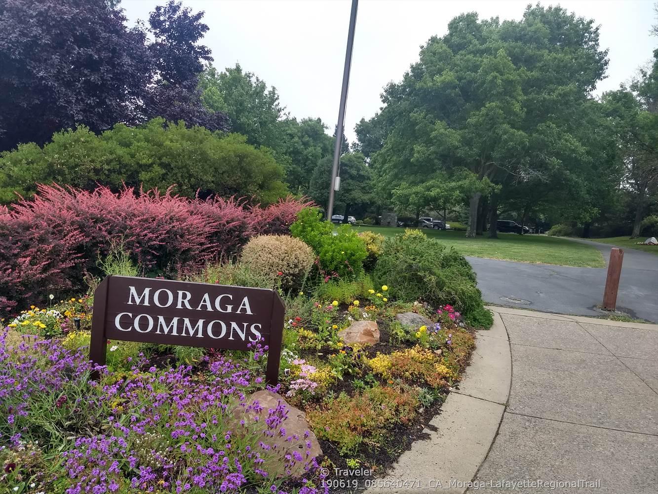 Brown sign amidst colorful flowers and shrubs on an overcast day.