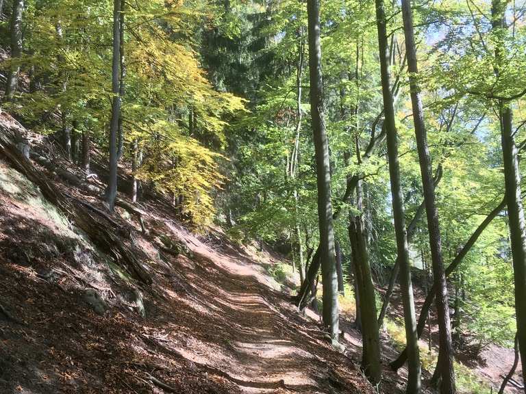 Jubiläumsweg Routes for Walking and Hiking | Komoot