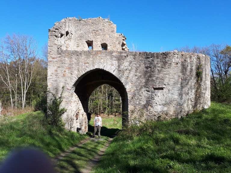 Mapper Schanze: Wanderungen und Rundwege | komoot