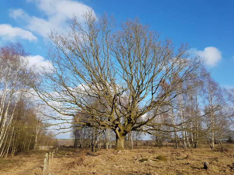 Naturschutzgebiet Höltigbaum Hamburg, Deutschland Wandertipps