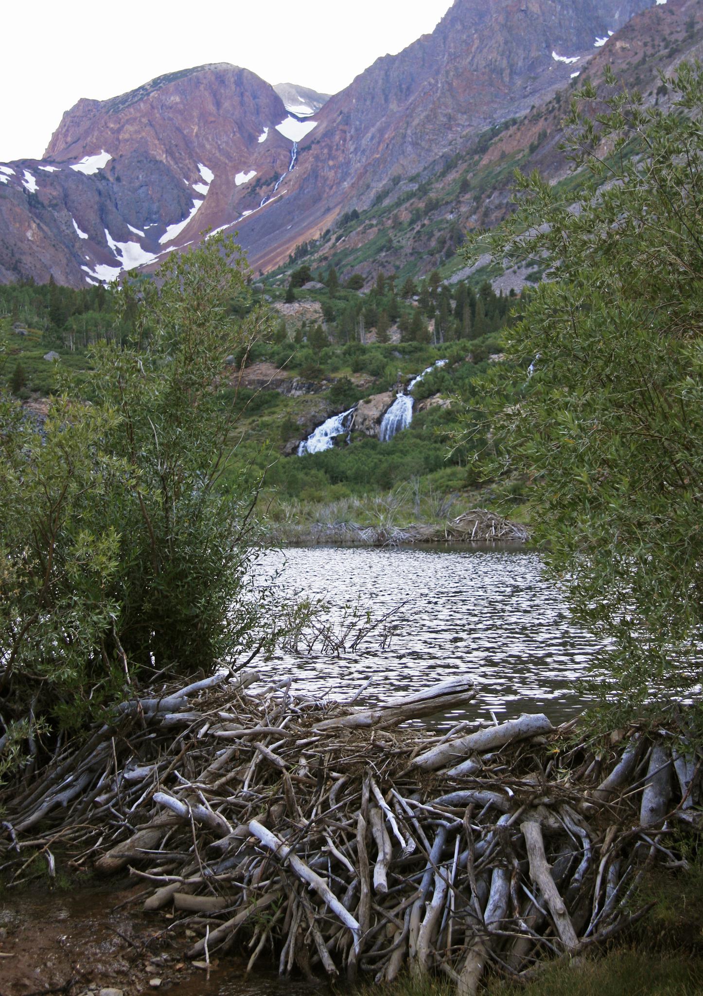 Beaver dam in foreground, lake, waterfall, and mountains under soft light.