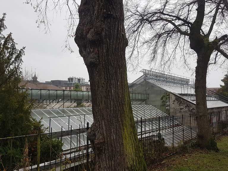 Cafe Botanik und der alte Botanische Garten (in Göttingen) Wanderungen