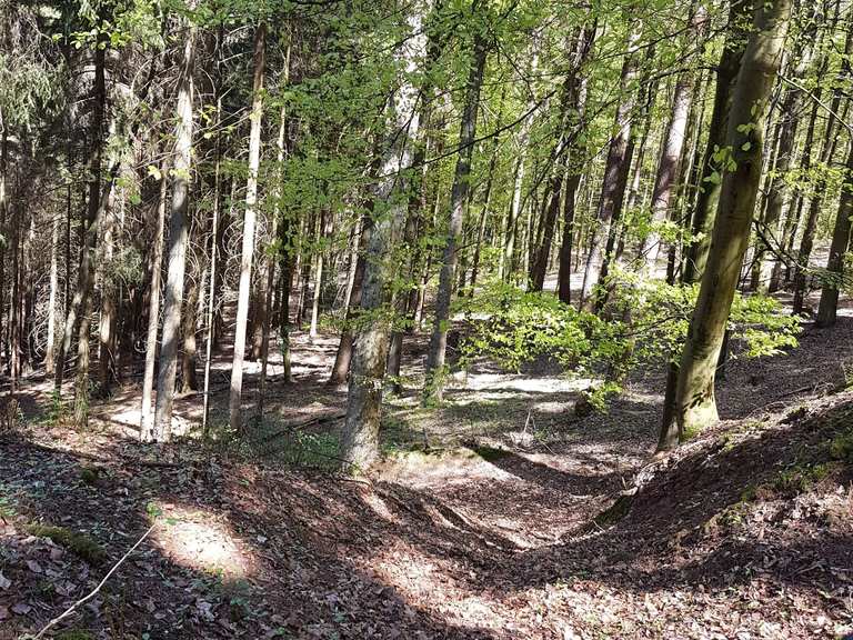 fahrrad bundenthal