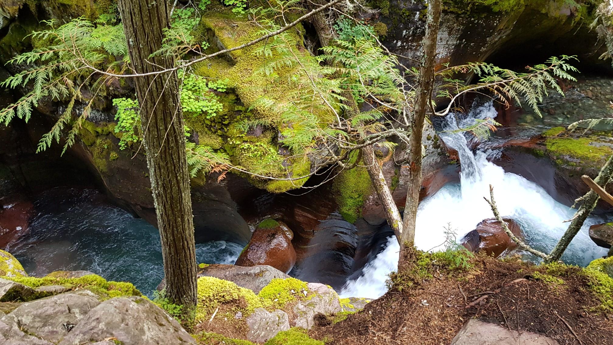 Rushing turquoise water flows through a mossy, rocky gorge in a dense forest.