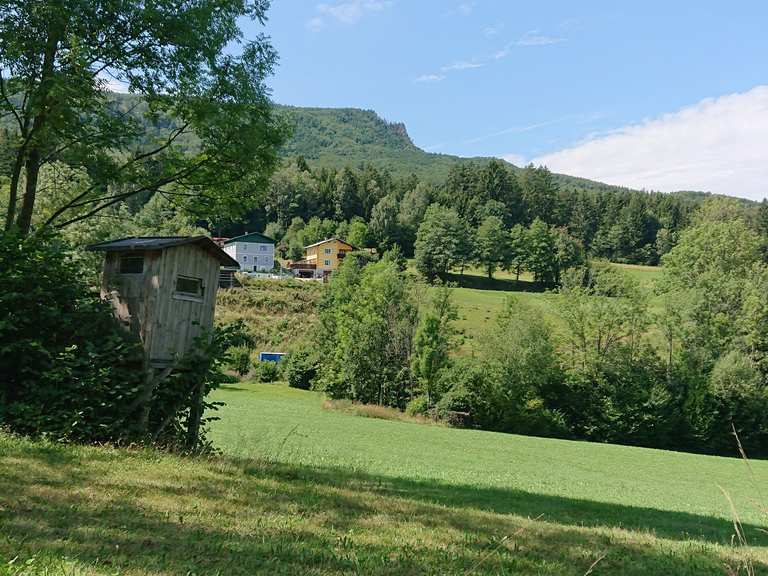 Schutthütte Peilstein – Großer Peilstein Runde von Laimbach am Ostrong ...